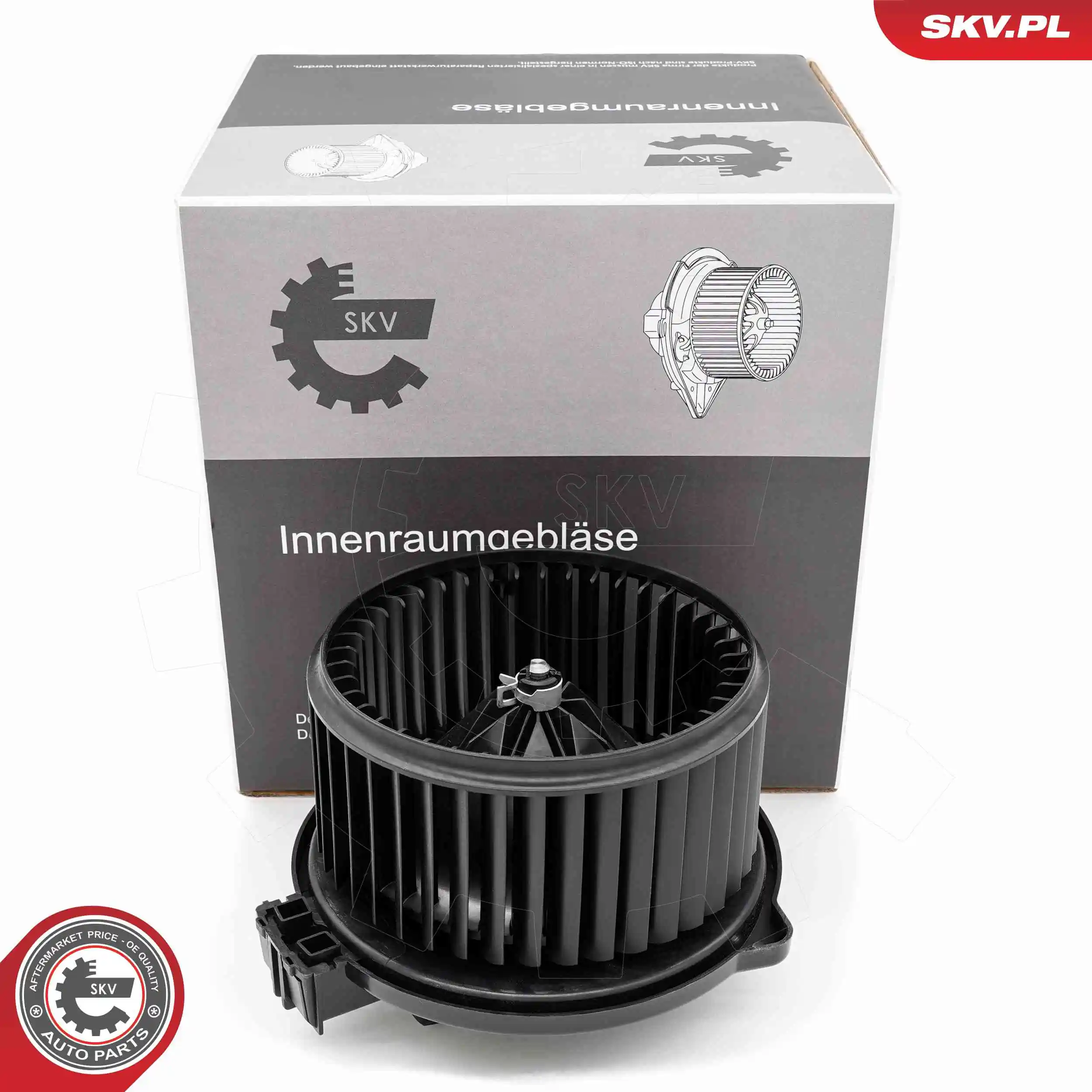 Interior Blower